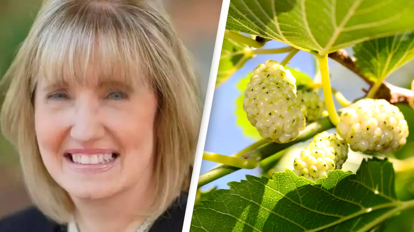 Woman dies after taking herbal remedy often used as diet supplement