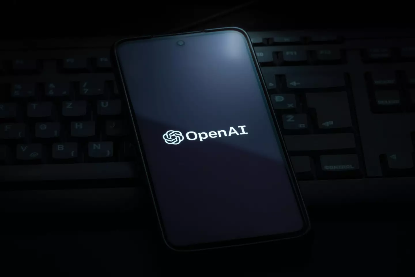 OpenAI's program ChatGPT is already highly skilled.