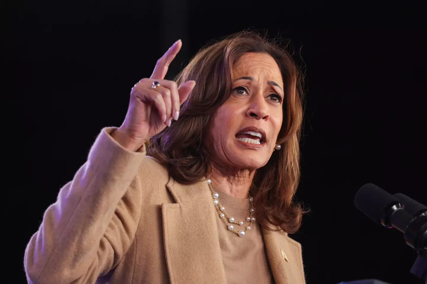 Kamala Harris lost the 2024 presidential election (Justin Sullivan/Getty Images)