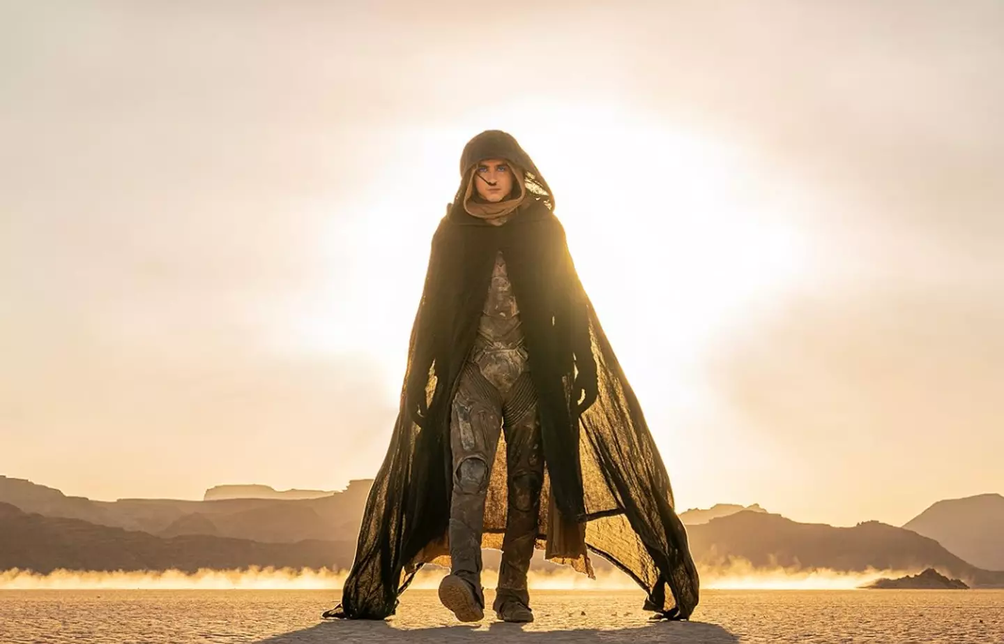 Dune: Part 2 was delayed in its release.