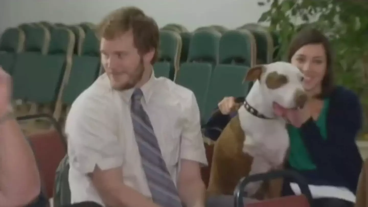 Chris Pratt's face says it all.