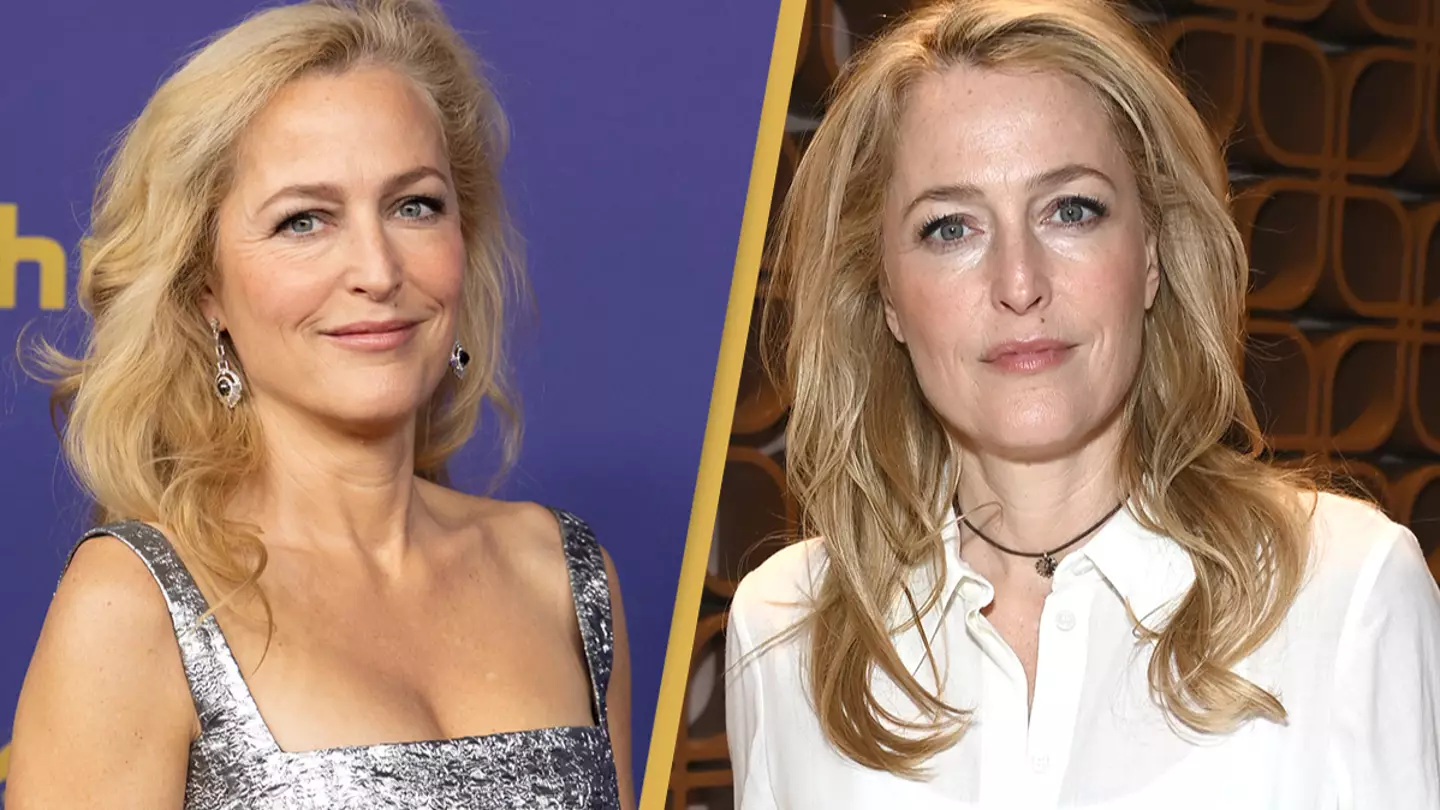 Stewart Cook via Getty Images/Araya Doheny/Getty Images