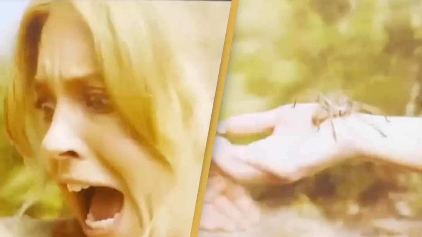 Shocking moment Sydney Sweeney got bitten by a Huntsman spider while filming Anyone But You