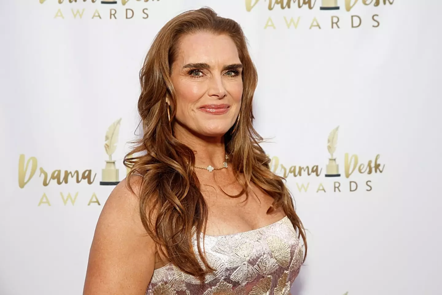 Shields claimed The Blue Lagoon would never be made now (Dominik Bindl/Getty Images)