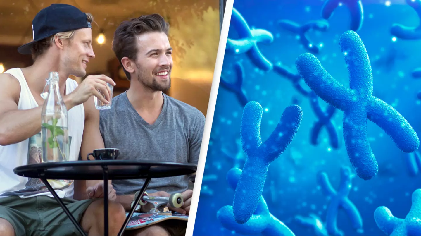 Scientists divided over what will happen to men as Y chromosome is disappearing