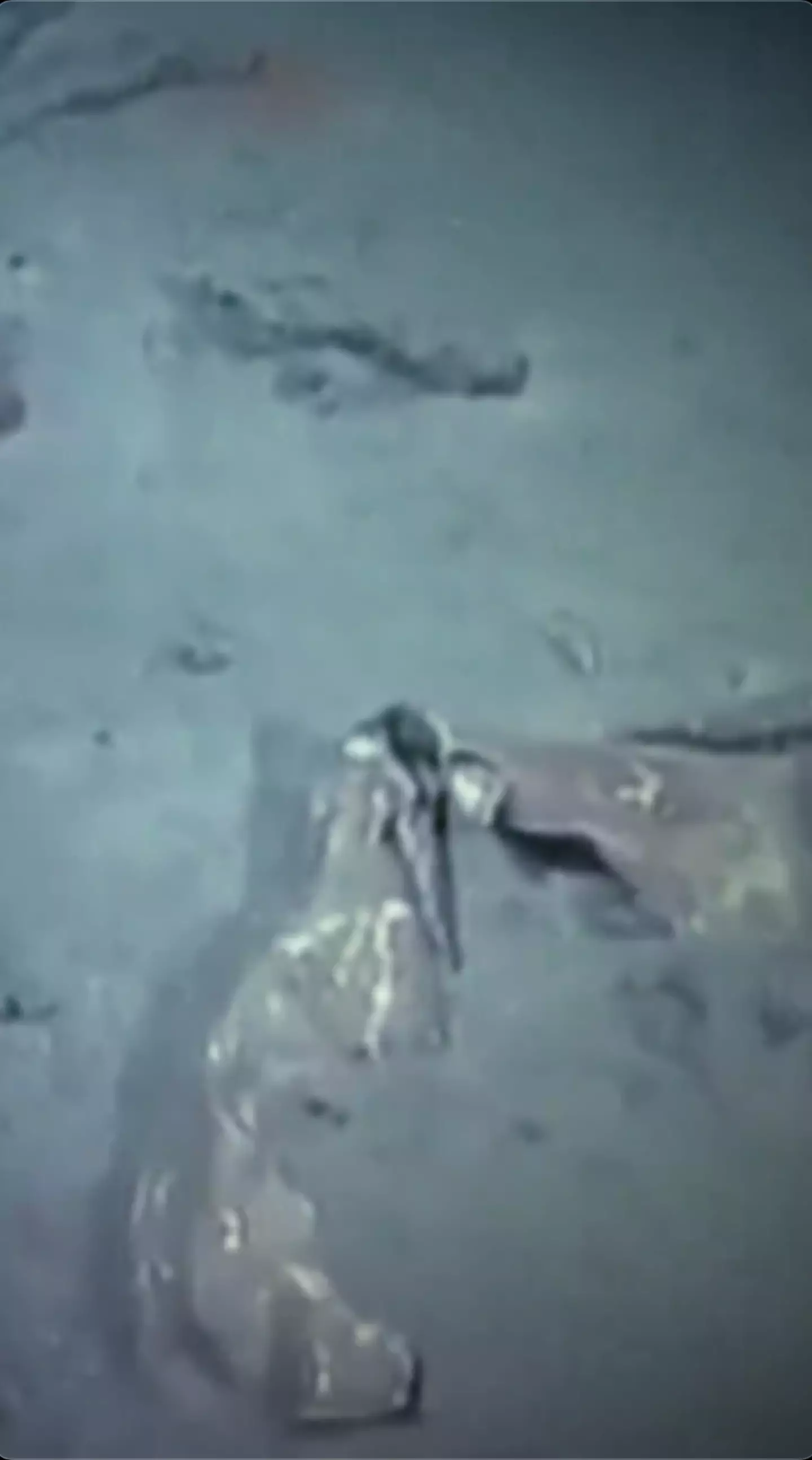 The shoes are all that's left of those who died. (CNN)