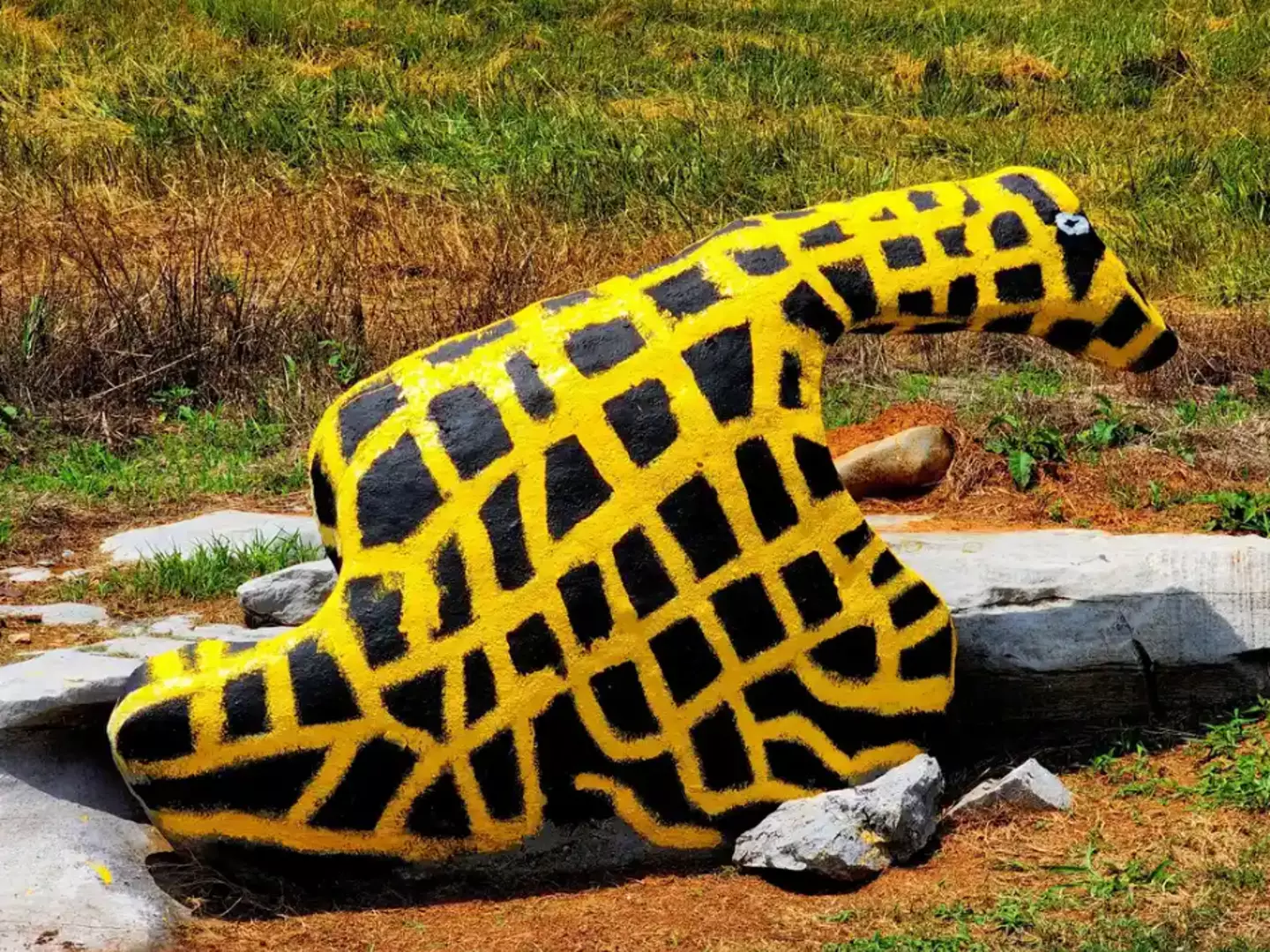 The rock giraffe isn't quite as tall as regular giraffes.