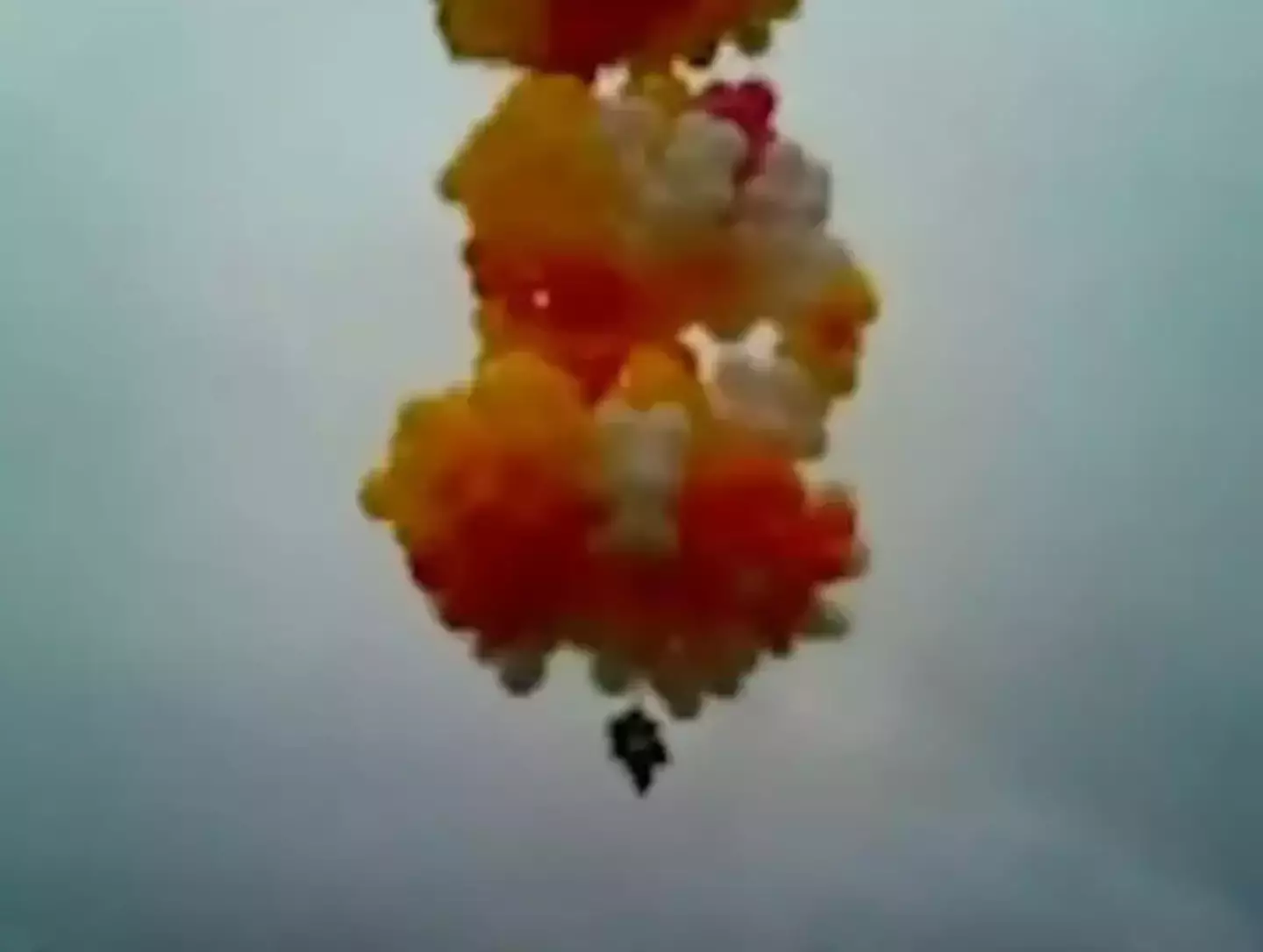 Things did not go to plan (YouTube/@catholicnewsagency)