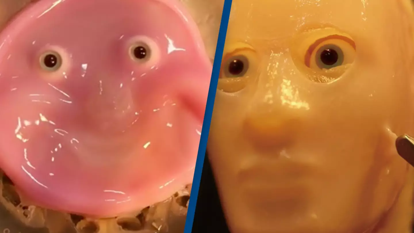 Scientists have created robots with lab-grown human skin and it's freaking people out