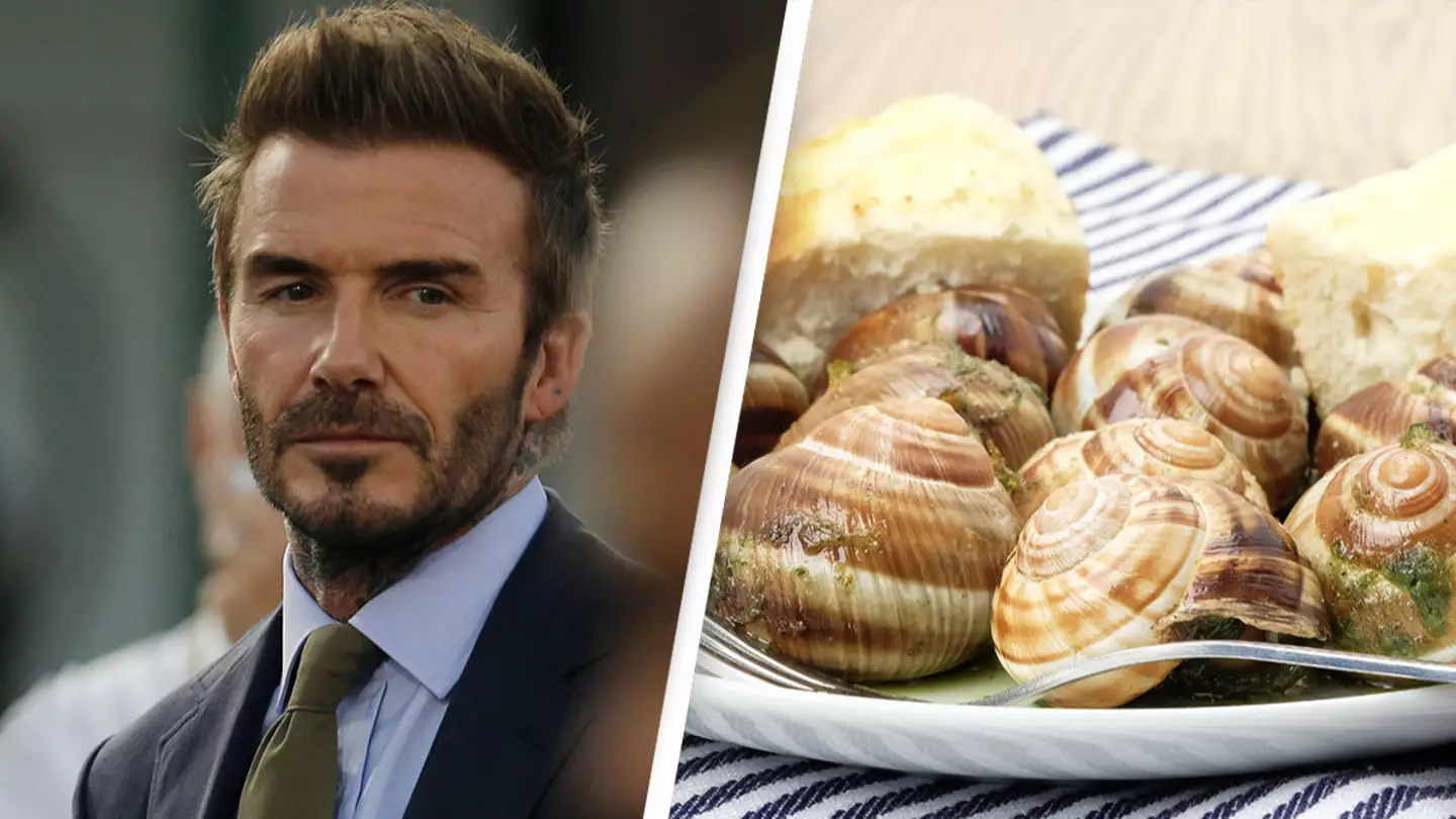 David Beckham Reveals How Many Snails He Can Eat In One Sitting