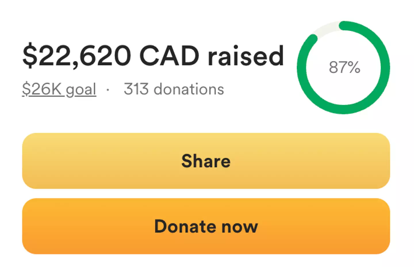 The family are hoping to raise $26,000 for the injured woman (GoFundMe)