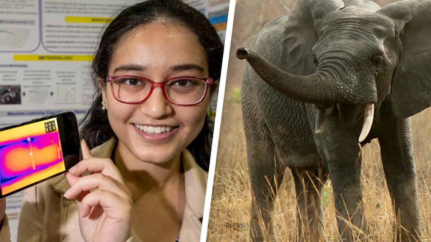 Teenager invents low-cost device to detect elephant poachers in real time