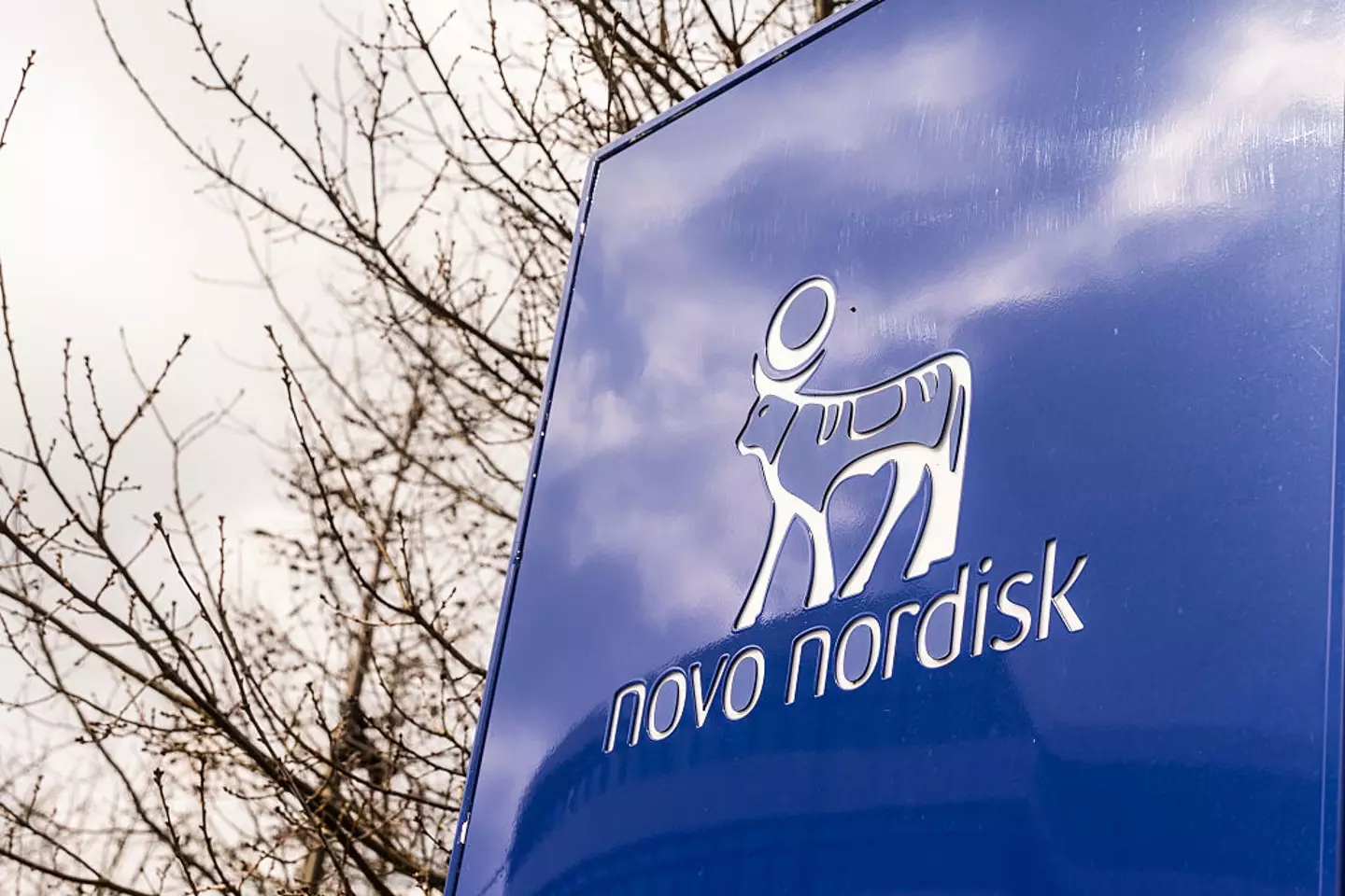 Novo Nordisk manufacture drugs like Ozempic and Wegovy (Kristian Tuxen Ladegaard Berg/SOPA Images/LightRocket via Getty Images)