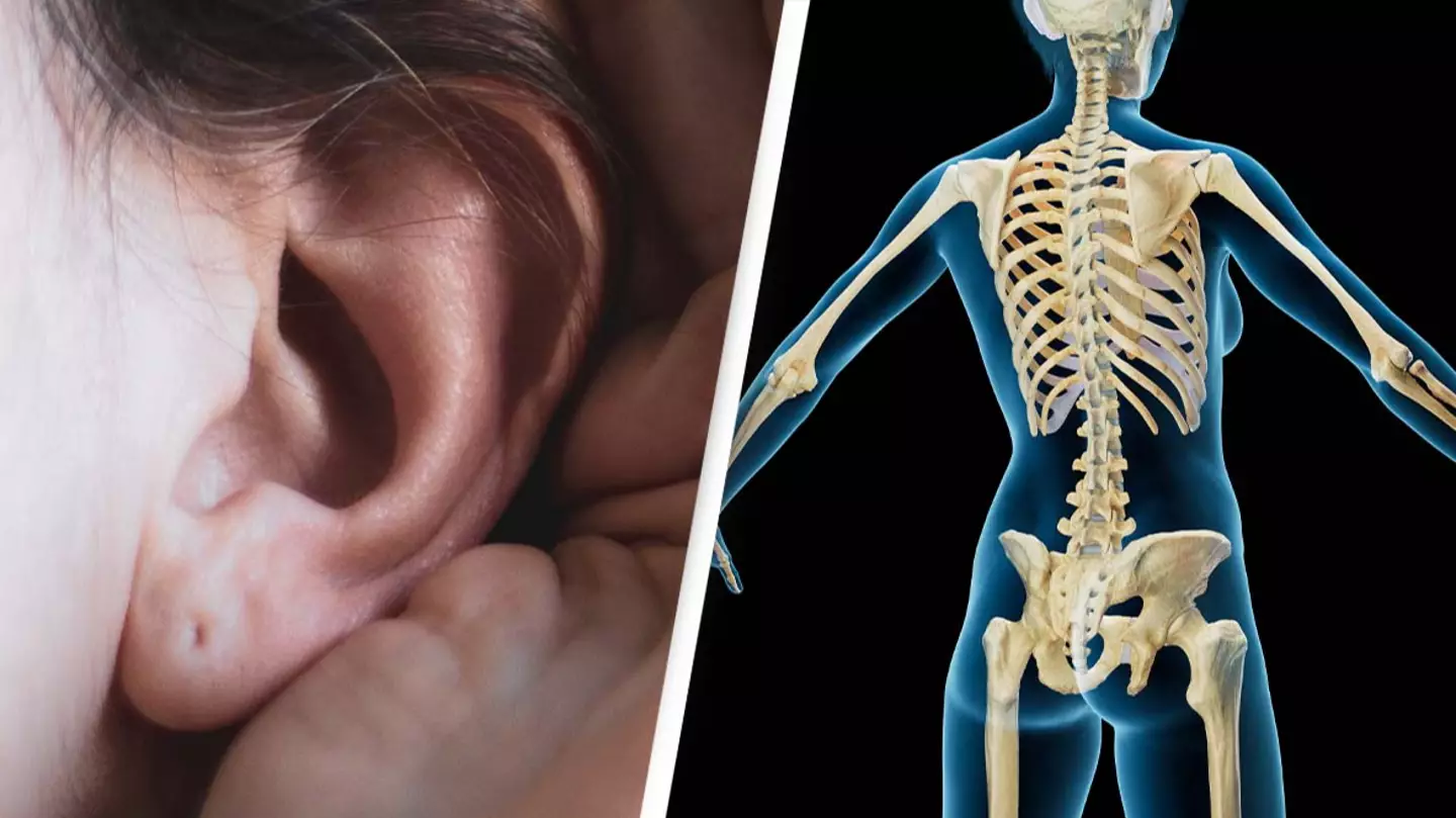 These seven body parts are useless but most people still have them