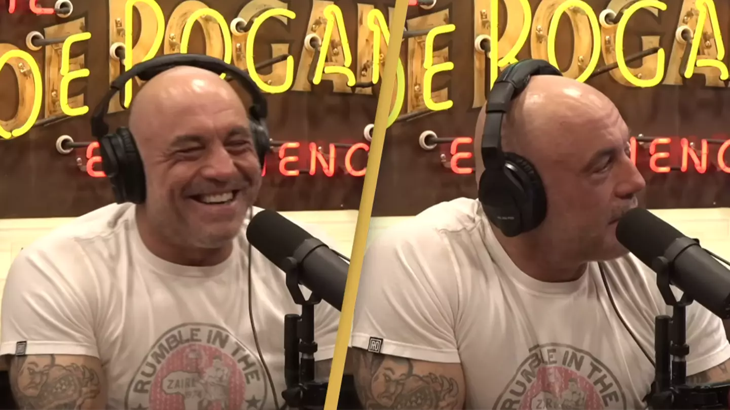 Joe Rogan Experience