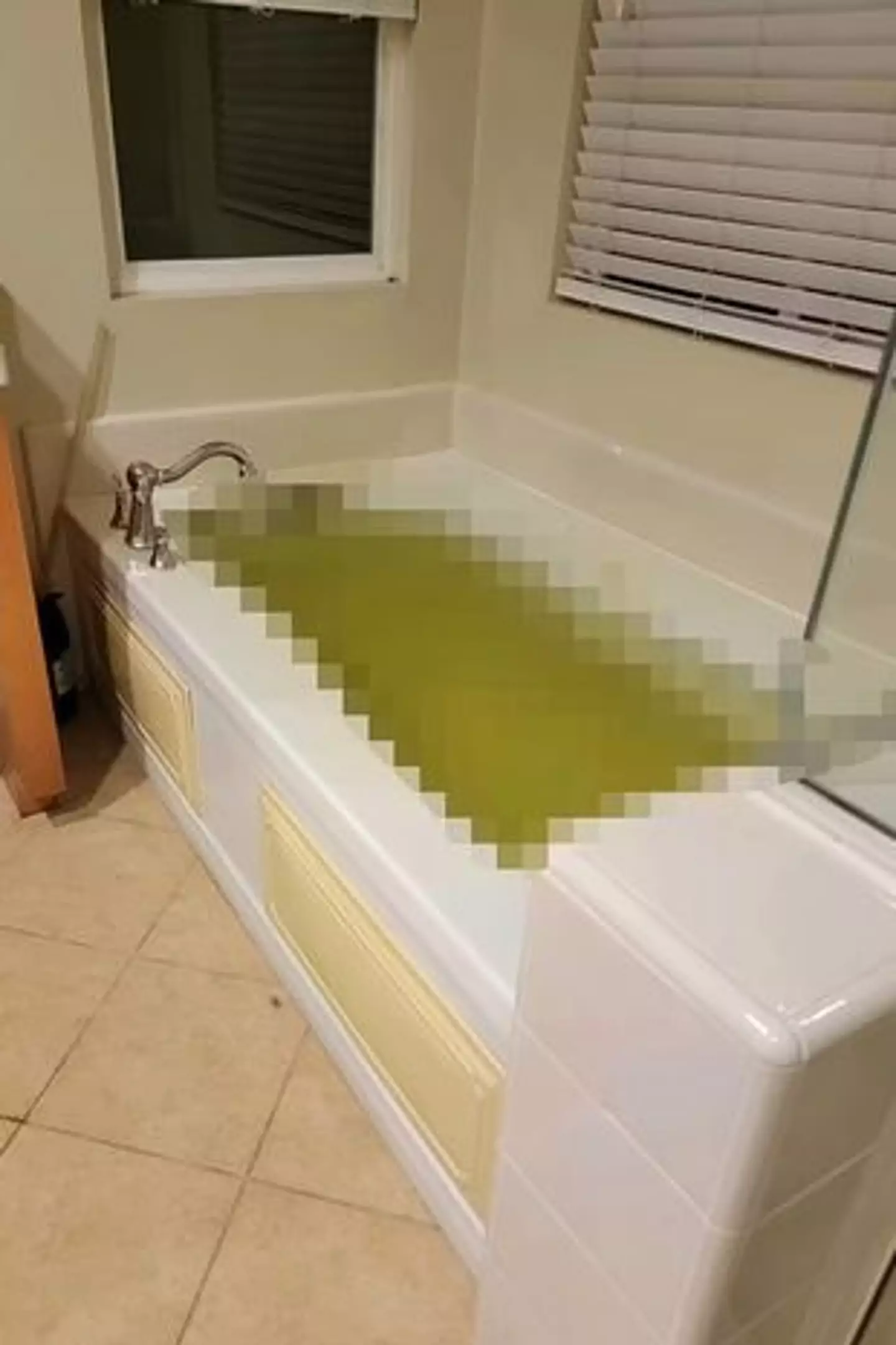 Jane Schneck shared a picture of the bathtub where Carter was found dead.