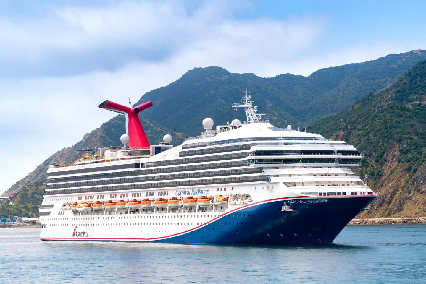 People applauded Carnival Cruises for issuing the advice. (AaronP/Bauer-Griffin/GC Images)