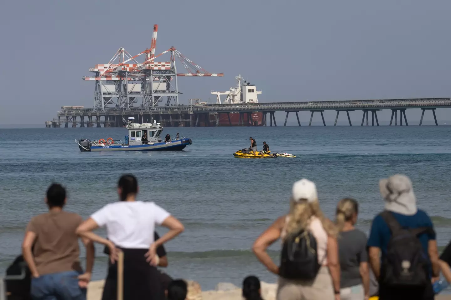 The last words of the man who was attacked by a shark have been revealed (Amir Levy/Getty Images)