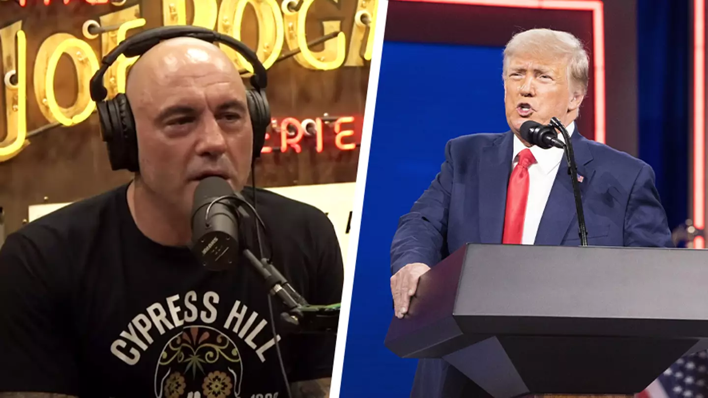 Joe Rogan Accuses Donald Trump Of Being A 'Man Baby'