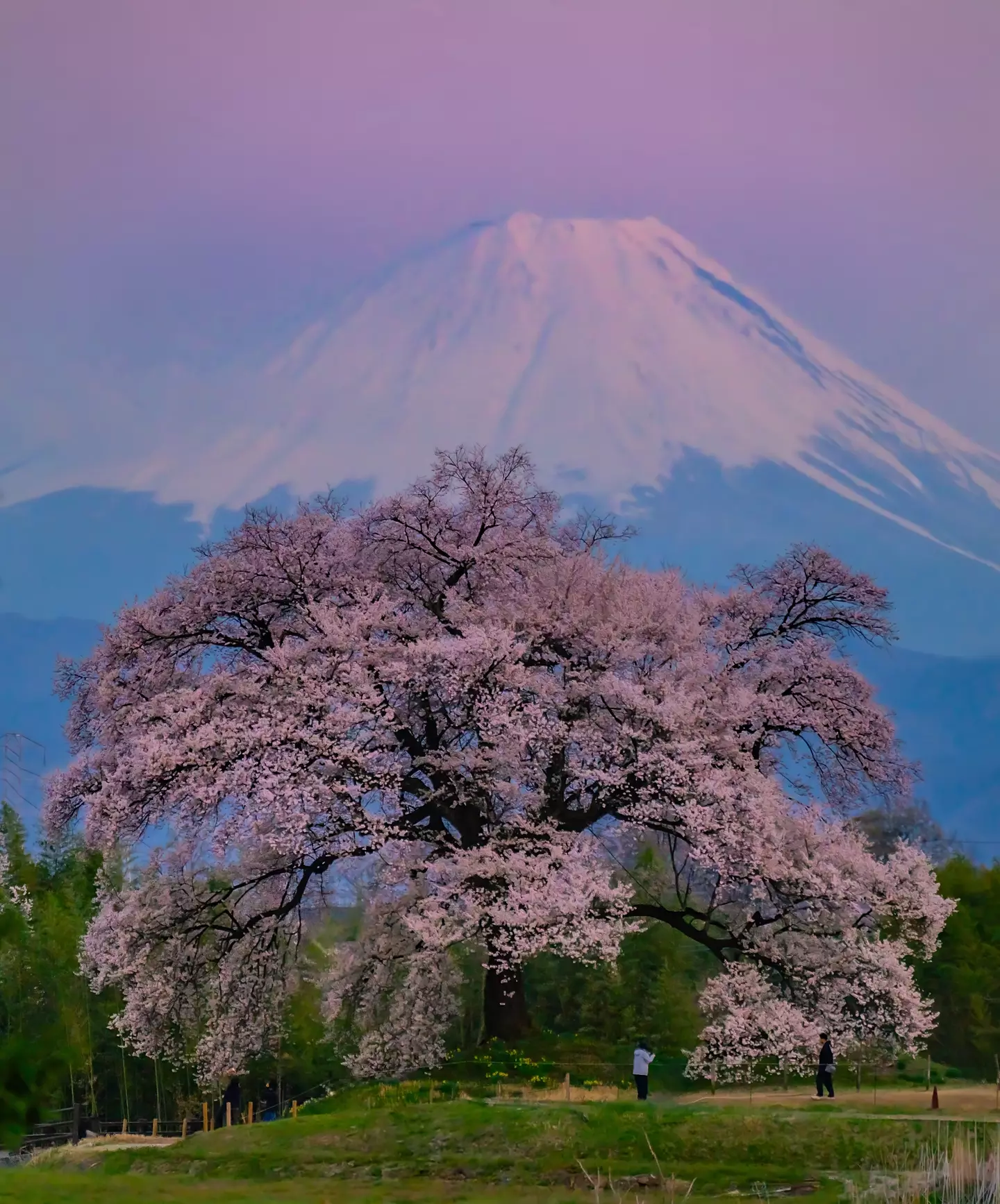 A climber has been recused from Mount Fuji twice in a week (Fatih Gonul/Anadolu via Getty Images)