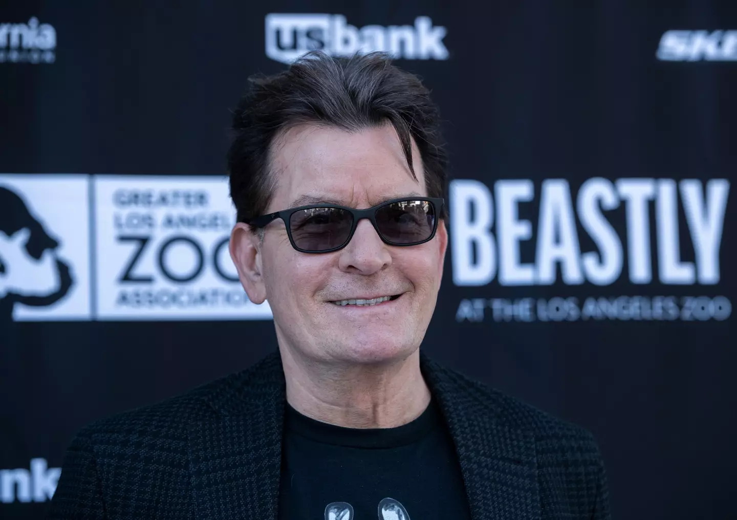 Sheen detailed a HIV diagnosis in 2015  (Amanda Edwards/Getty Images)