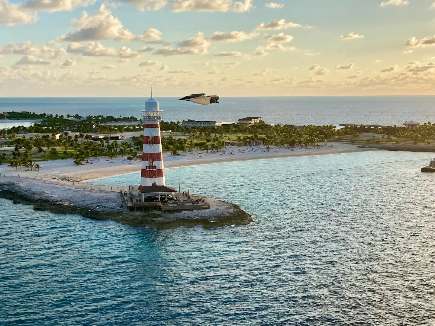 The cruise was returning from the Bahamas when the incident occurred (Sanniely/Getty Images)