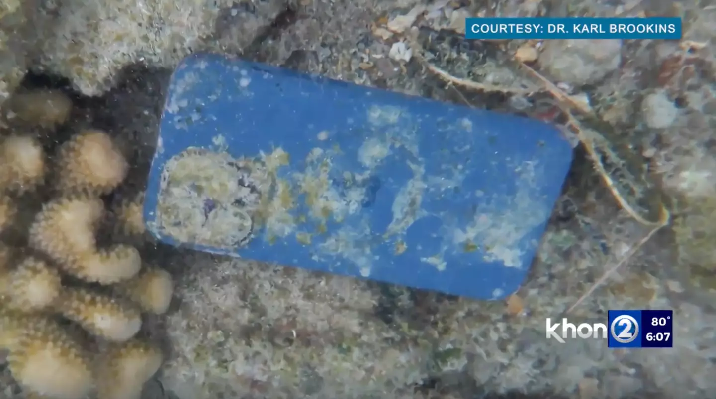 The phone, as it was found underwater.