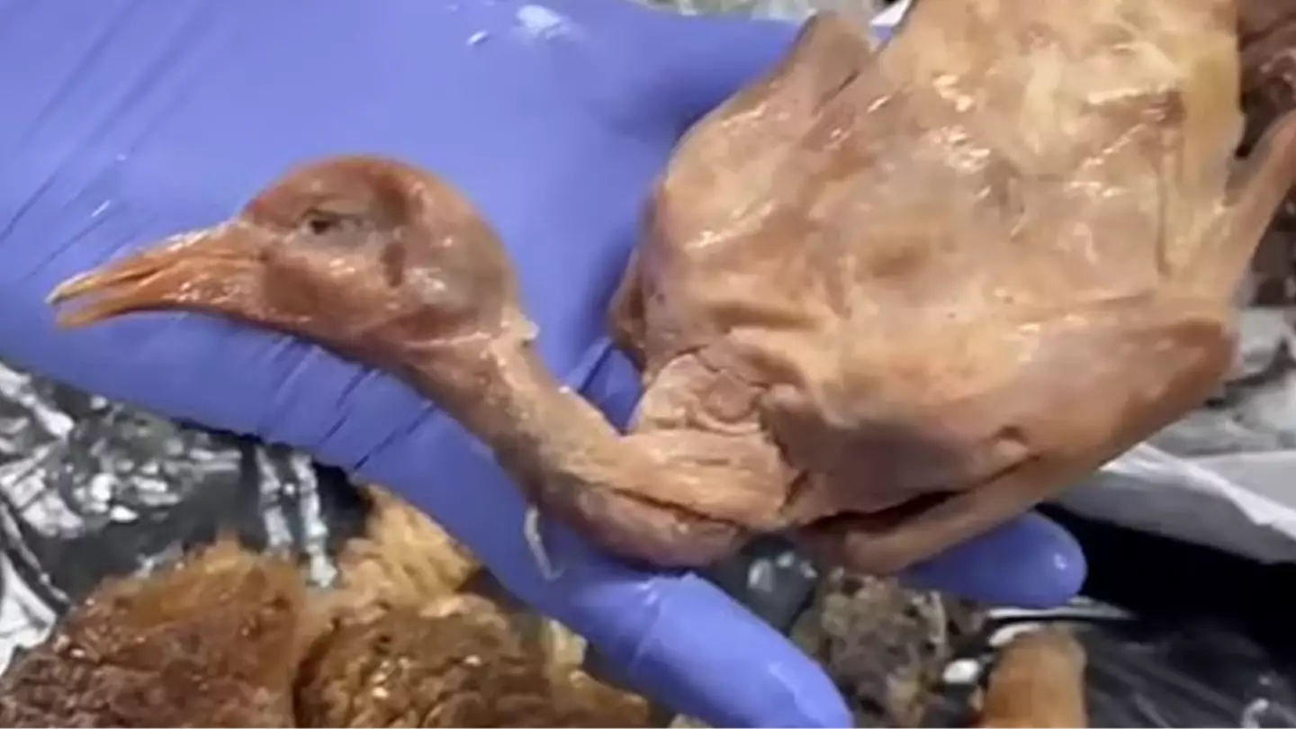 Policia Municipal de Madrid