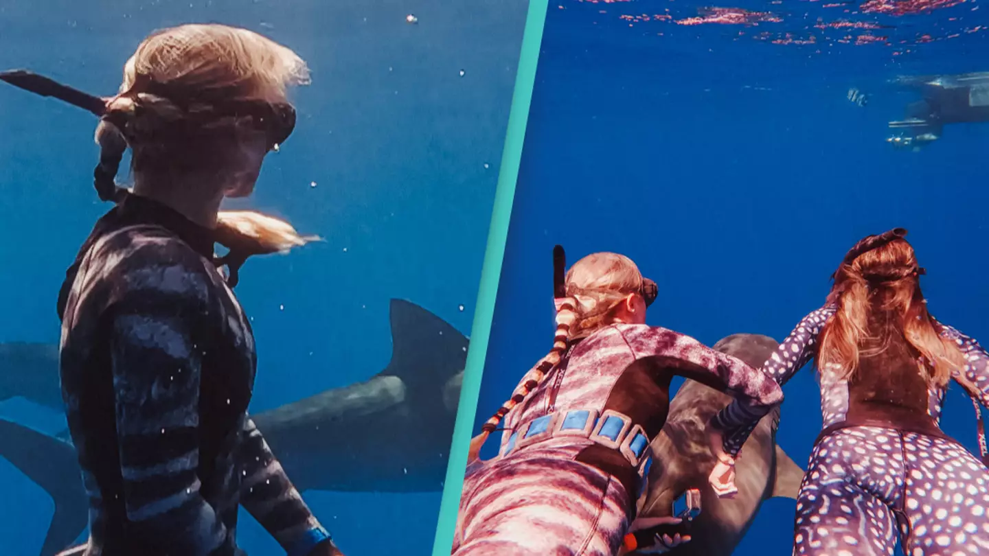 Diving expert left stunned as woman jumps into shark-infested waters during feeding time