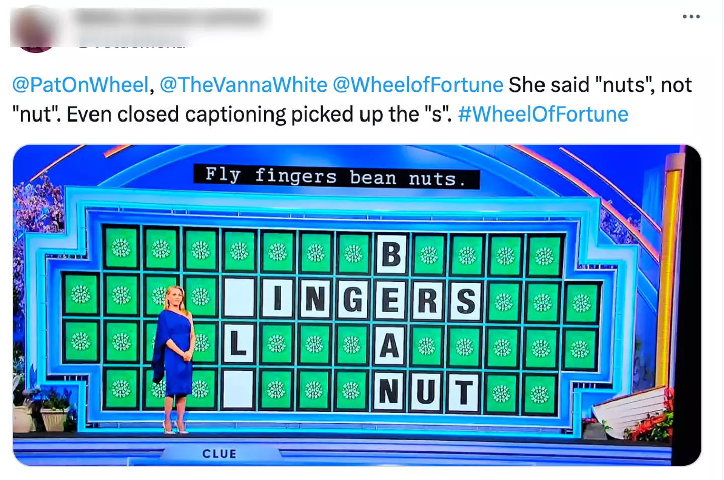 Wheel of Fortune fans insist that the woman said 'nuts'.