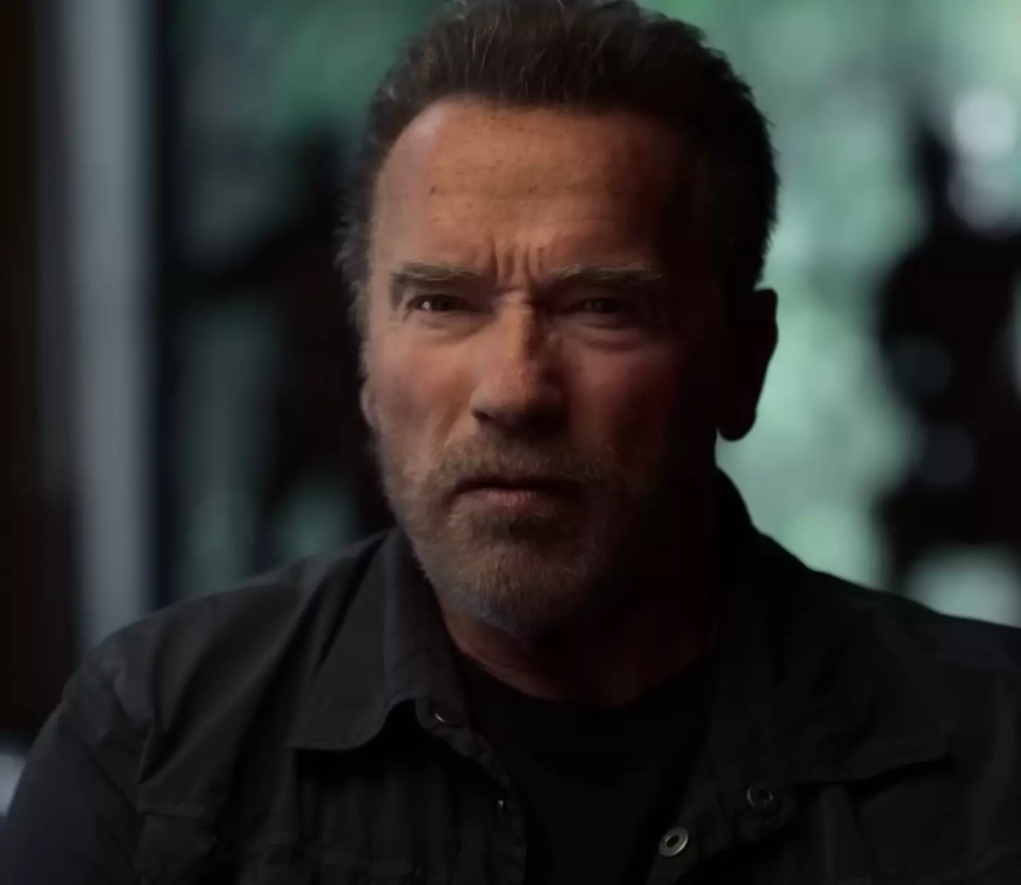 Arnold Schwarzenegger says there's 'nothing' after we die.