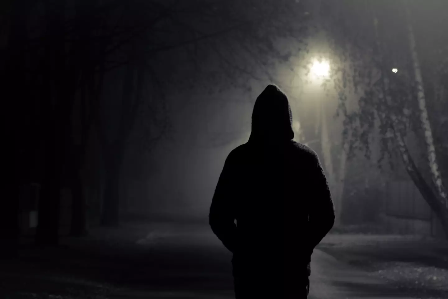 Serial killers have different 'motivations' for their murders (Getty Images)