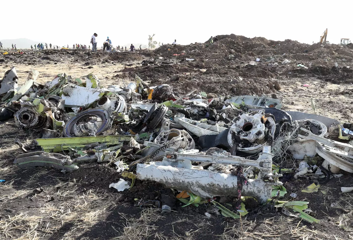 The wreckage of Ethiopian Airlines Flight 302.
