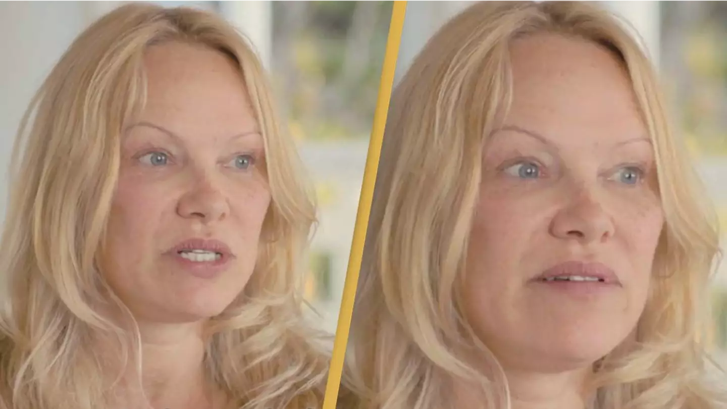 Pamela Anderson breaks silence on Pam & Tommy show in new Netflix documentary saying she 'feels sick'