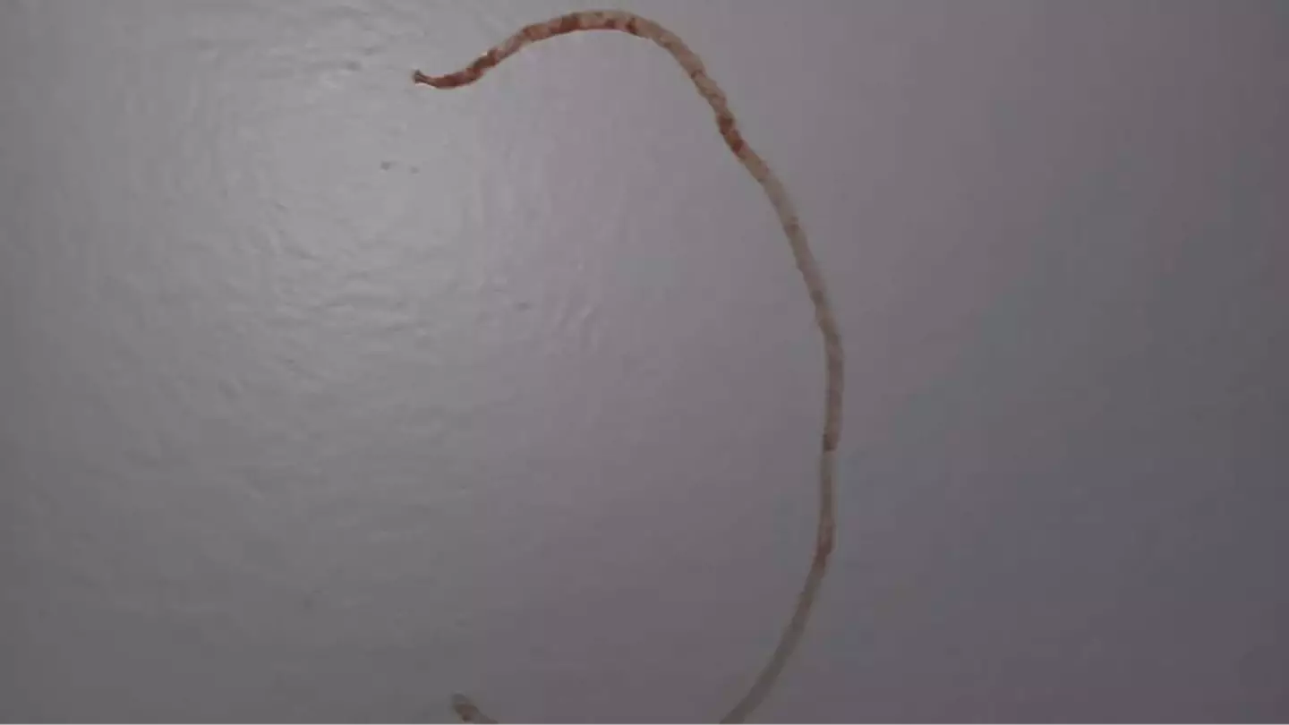 Man finds sinister symbol ‘written in blood’ on bedroom wall and is left extremely ‘unsettled’ after finding out truth