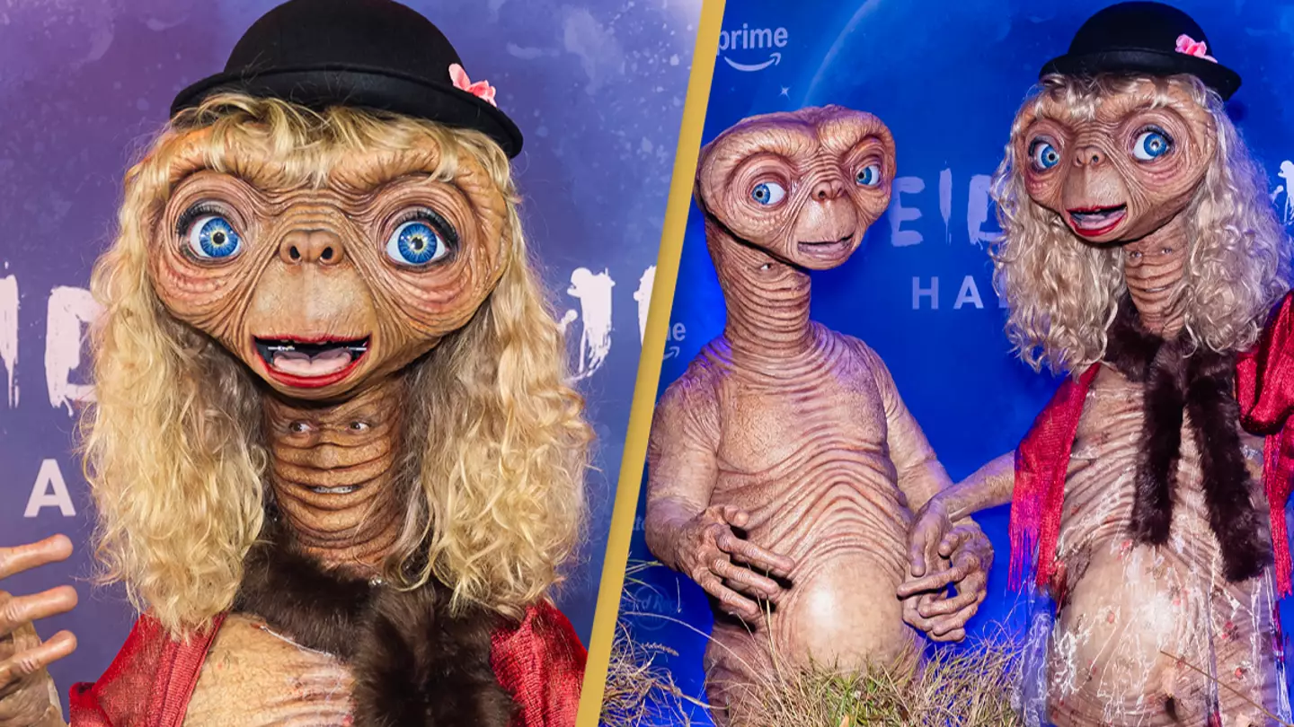 TheStewartofNY/WireImage/Getty