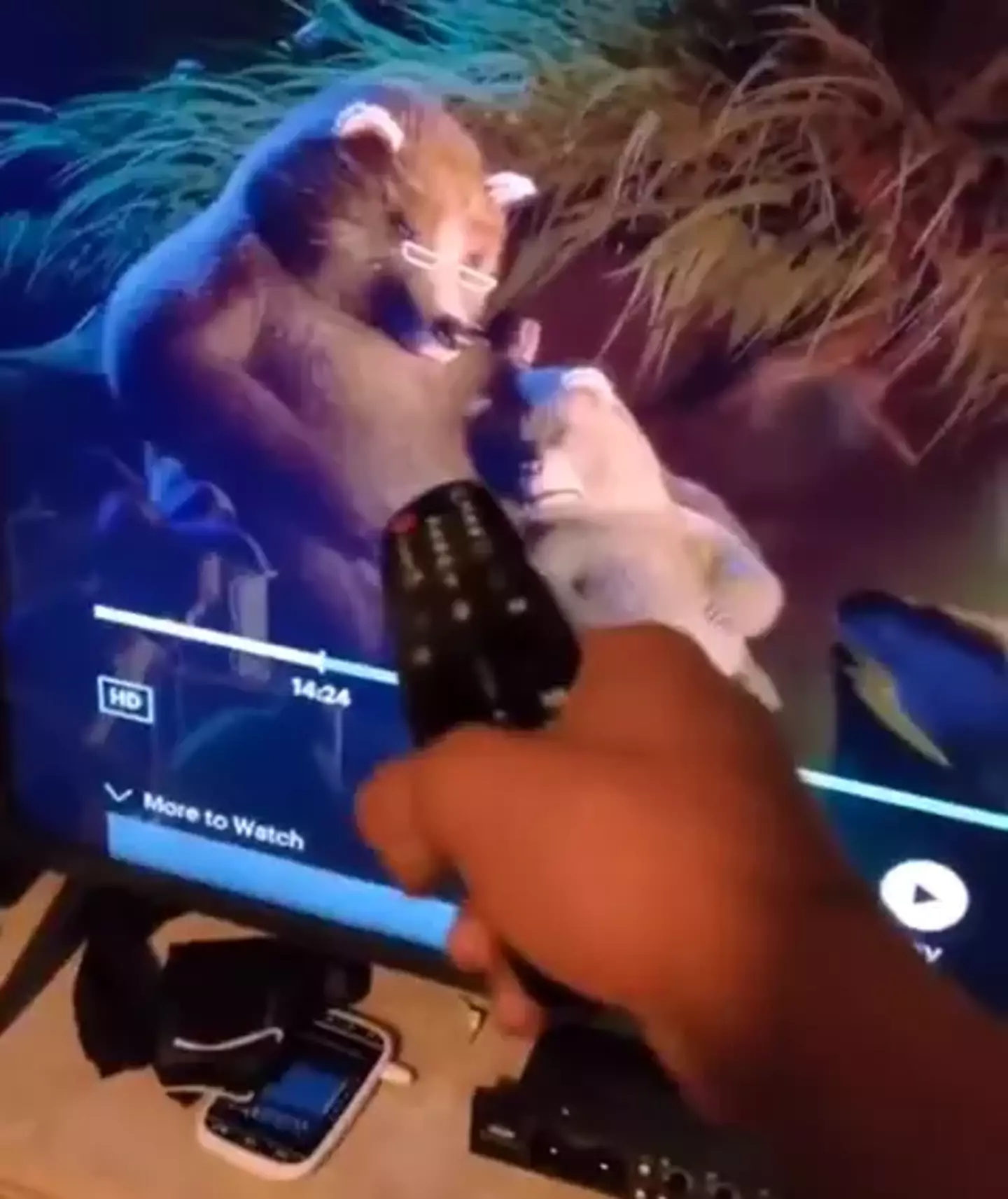 But where's Mama Bear? (Twitter/SanadeSweet)