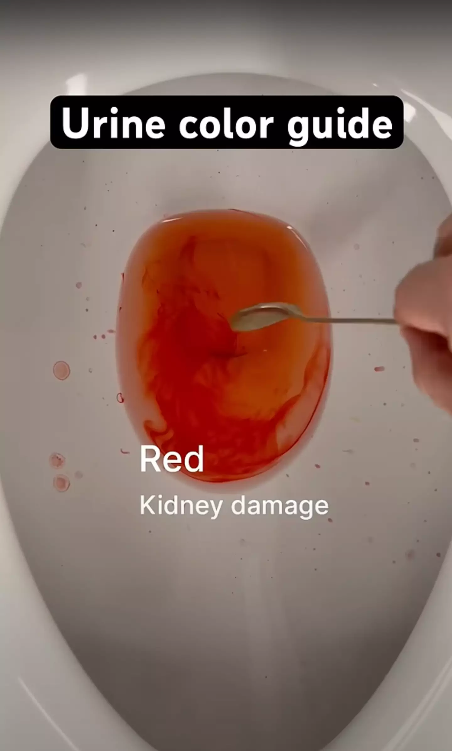 The video 'guide' says a lot about your health (YouTube/Kieram Litchfield)