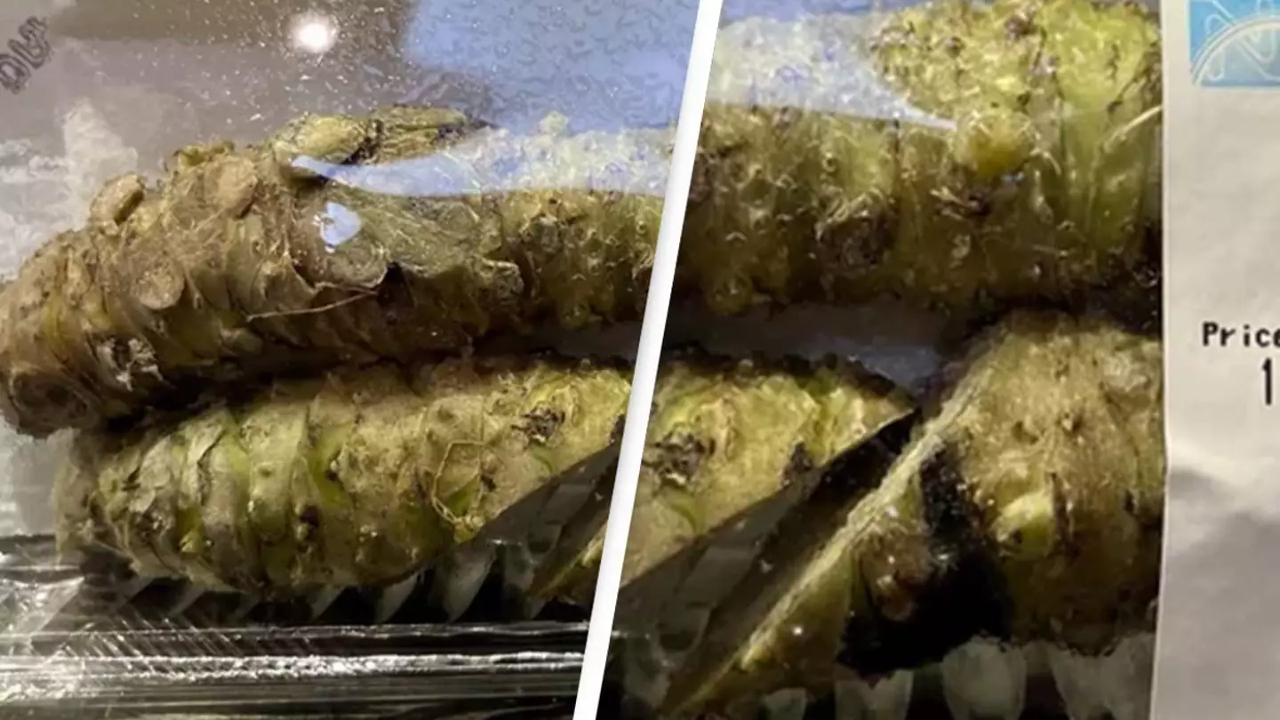 People shocked after seeing real price of wasabi and question if they've ever had the real thing