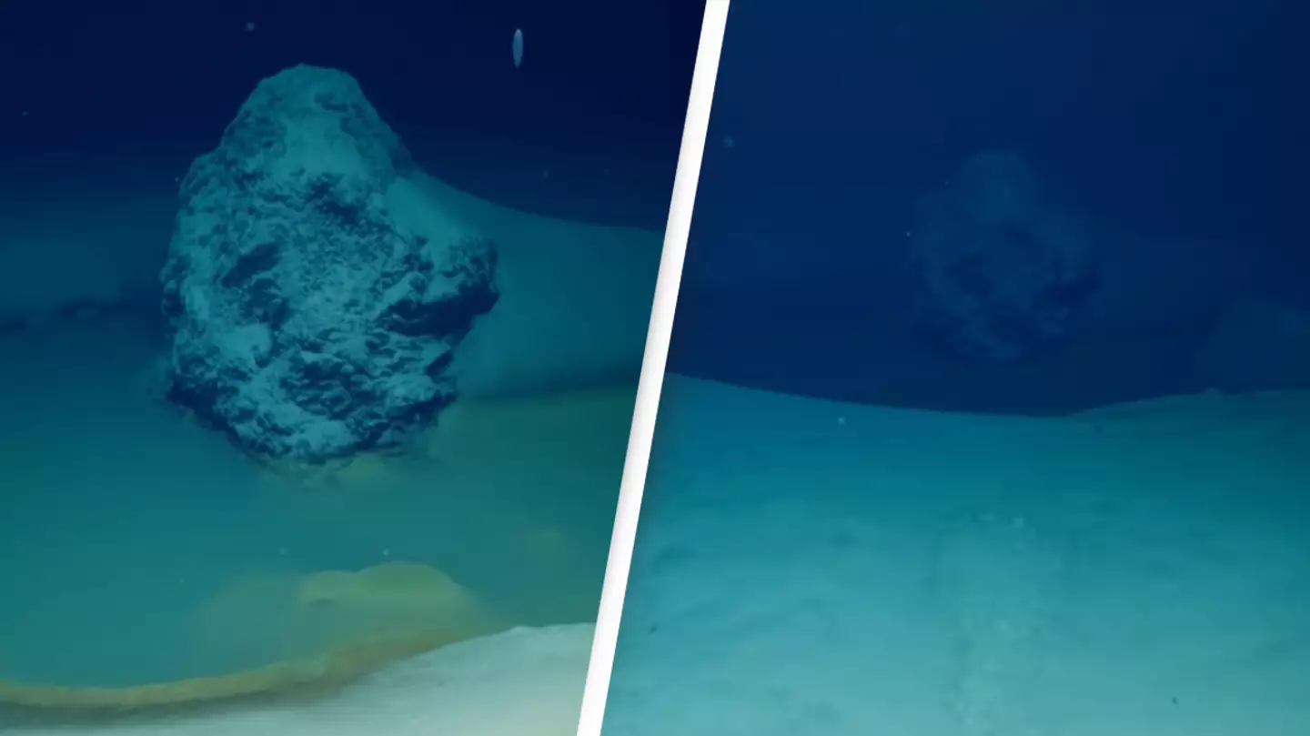 Deadly Pool At Bottom Of Ocean Kills Anything That Swims Into It