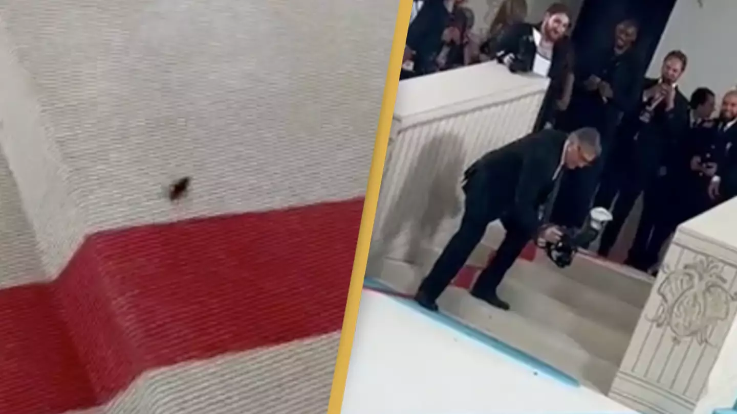 Cockroach becomes unlikely star and steals the show at the Met Gala