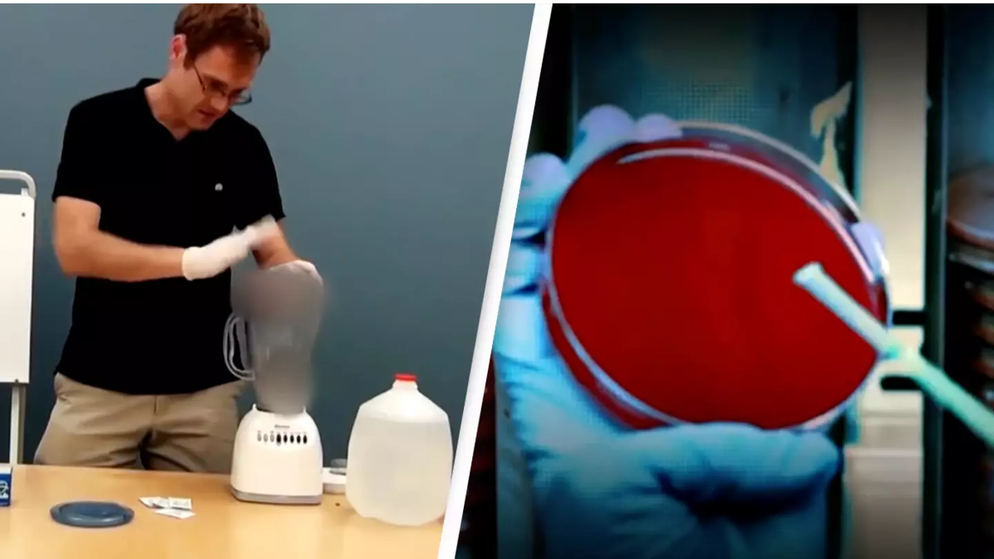 Experts warn against trend that sees people ingest others people's poo in hopes of curing illness