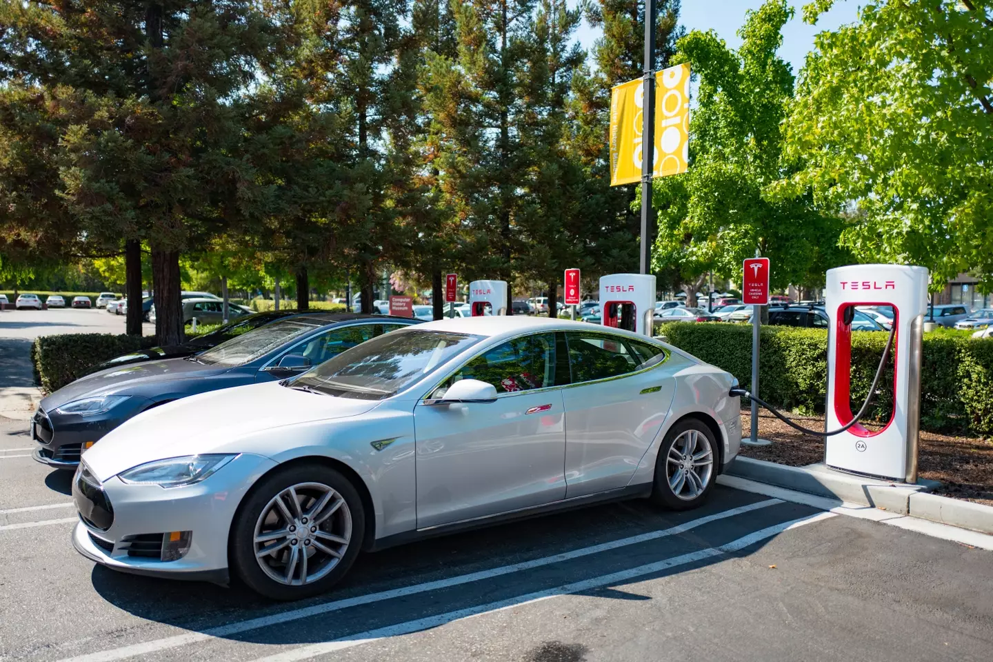 More and more people are considering going electric (Smith Collection/Gado/Getty Images)