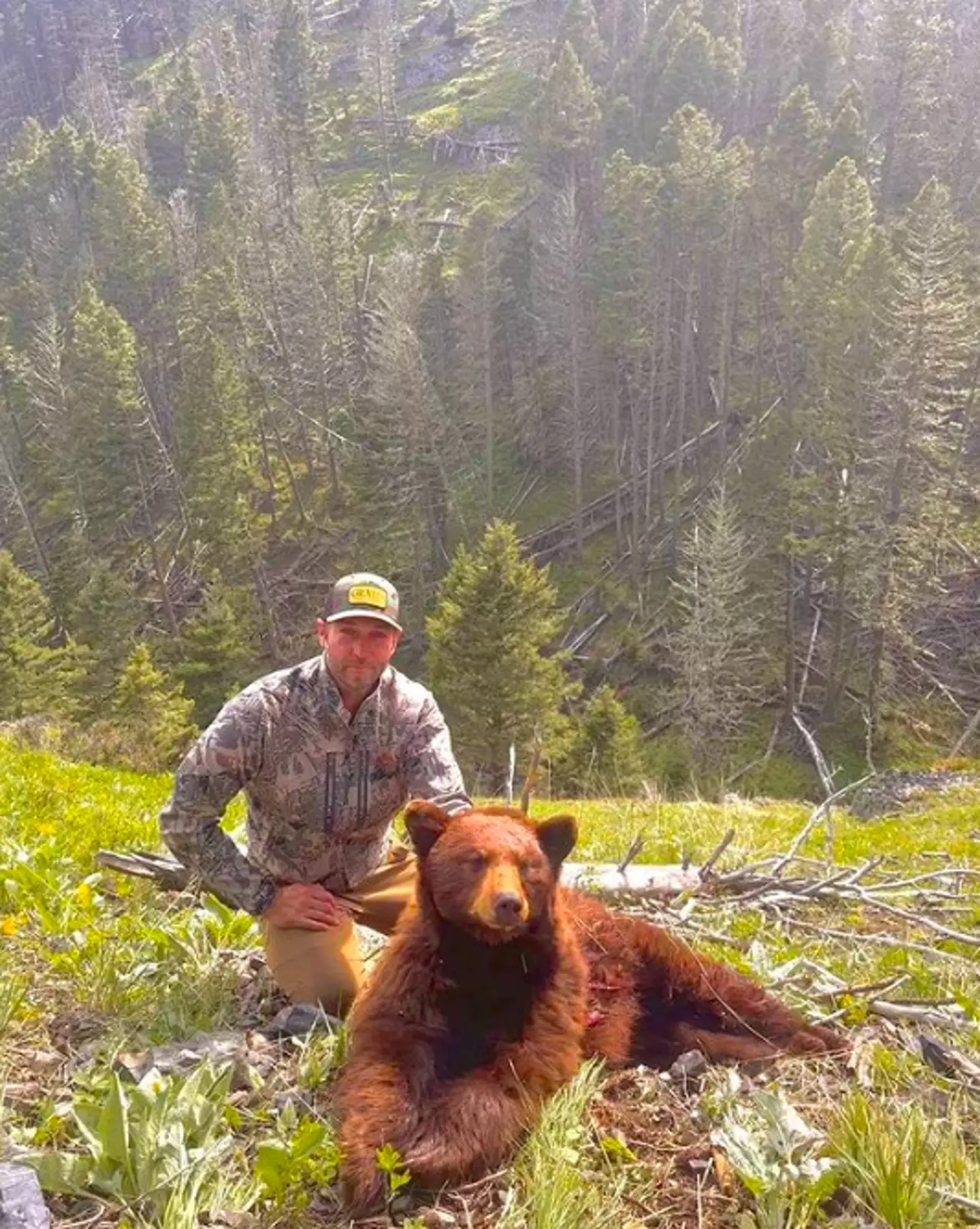 Jay Cutler has come under fire for hunting and killing a bear.