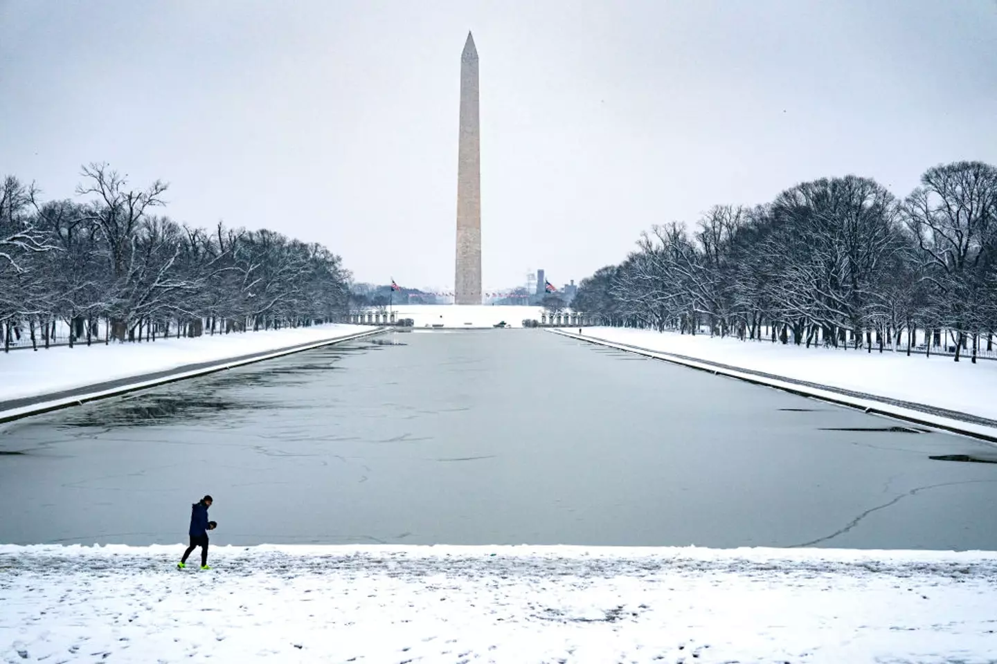 The asteroid could wipe out much of Washington DC (Kent Nishimura/Getty Images)