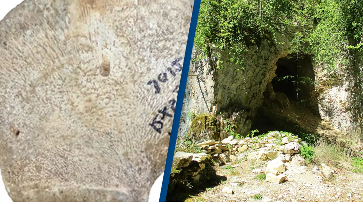 Scientist Reports/Pueblopassingby/Wikimedia Commons