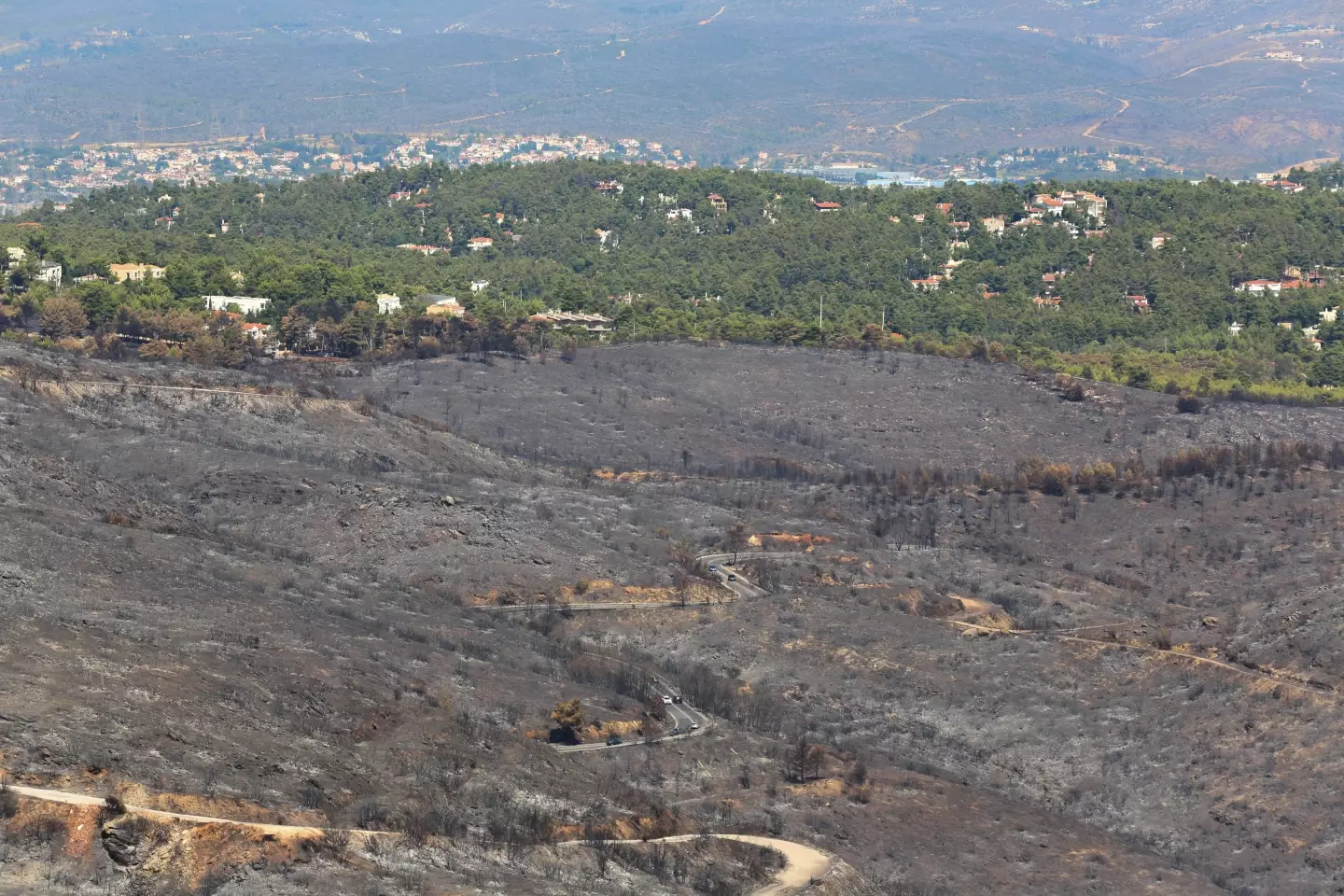 Wildfires are becoming increasingly common in Greece (stock image) (Nikolas Mhtrousias/NurPhoto via Getty Images)