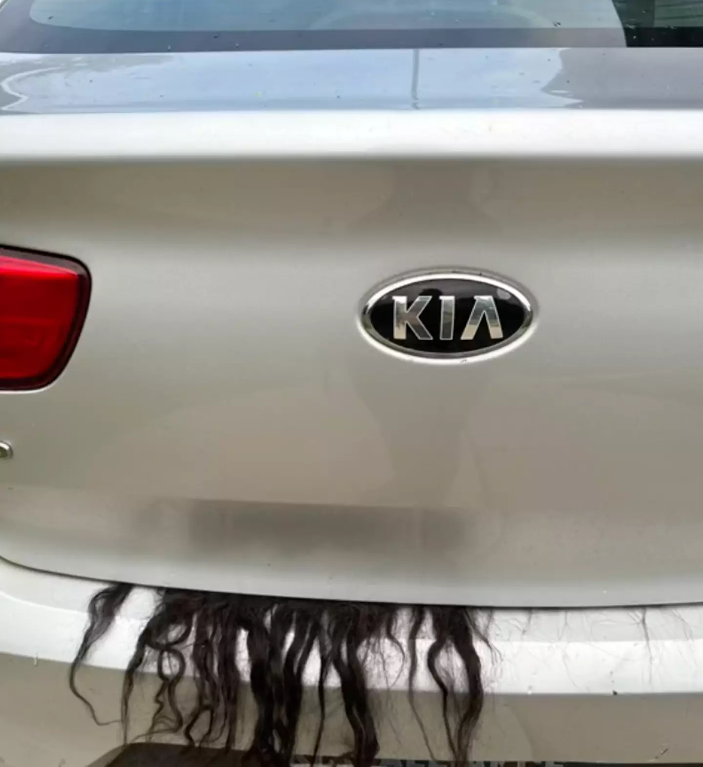 Toria's wig was hanging out the back of her car.