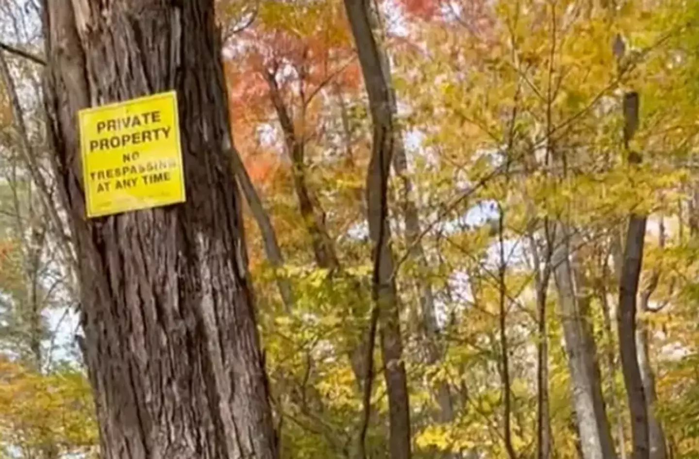 The town is closed to the public (TikTok/@dhelto79)