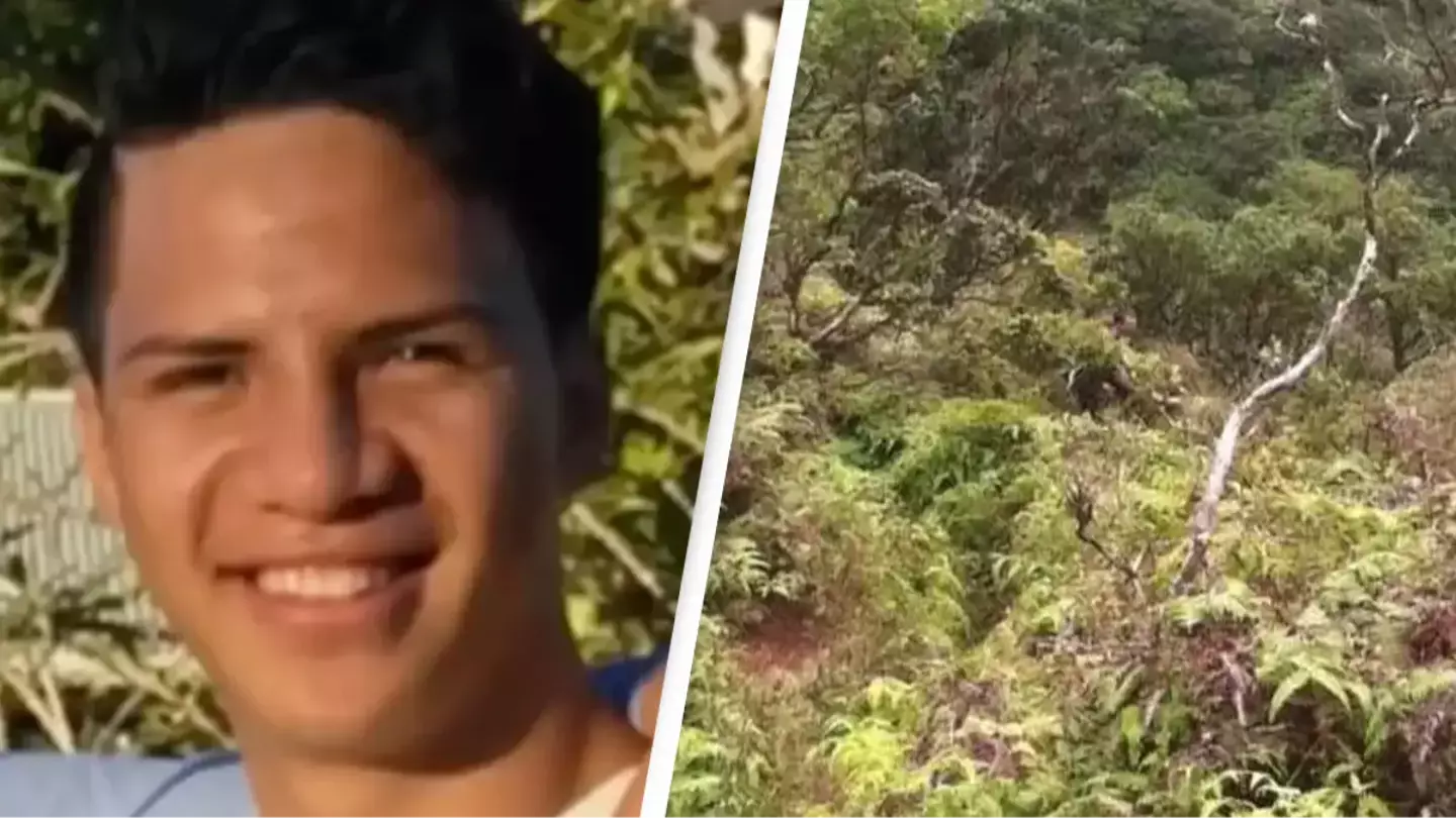 Hiker recalled hearing horrifying scream as man vanished while climbing ‘Stairway to Heaven’